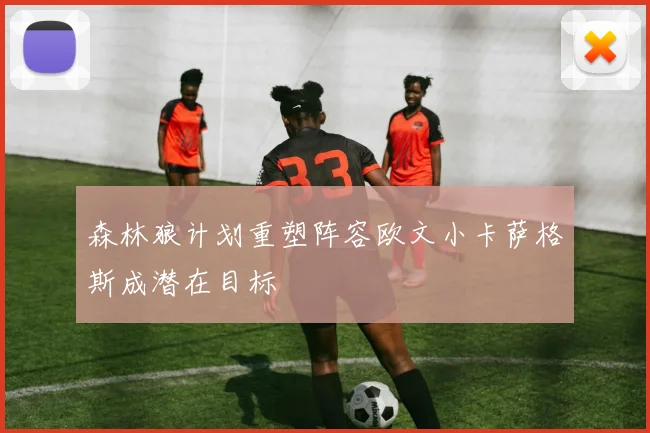 森林狼计划重塑阵容欧文小卡萨格斯成潜在目标